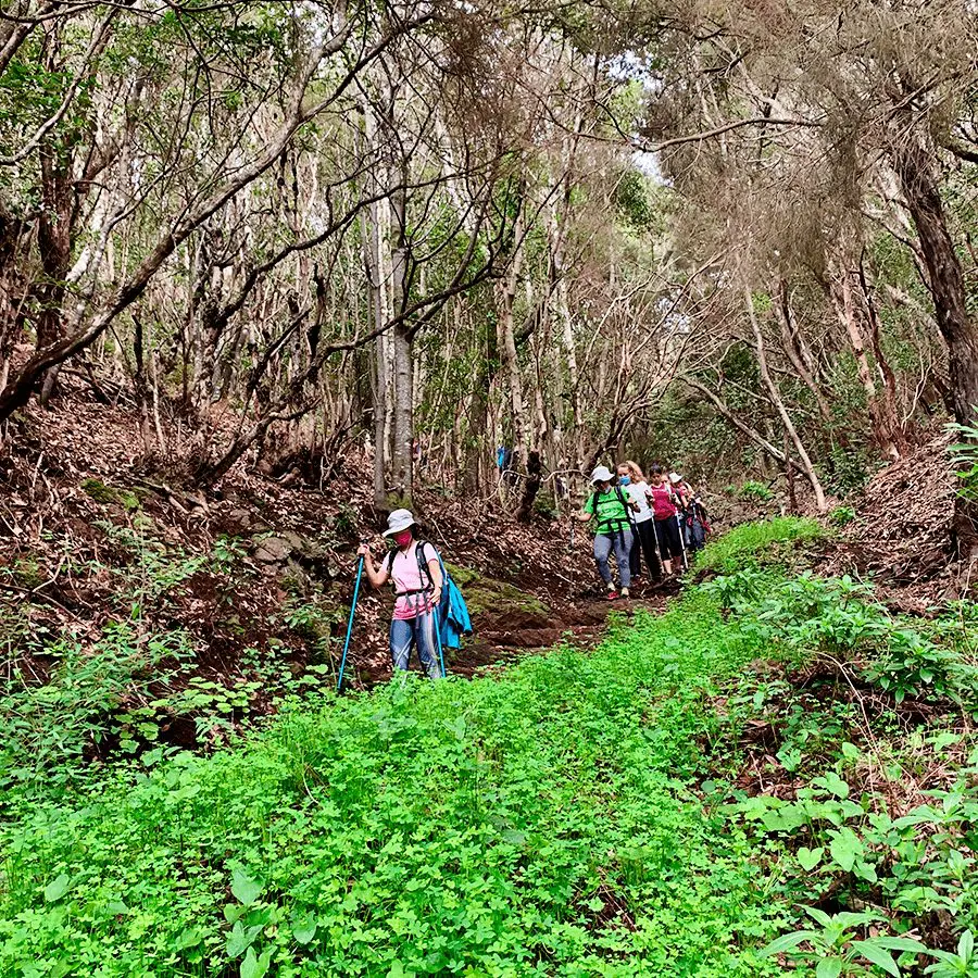 ruta primer Camino de Santiago