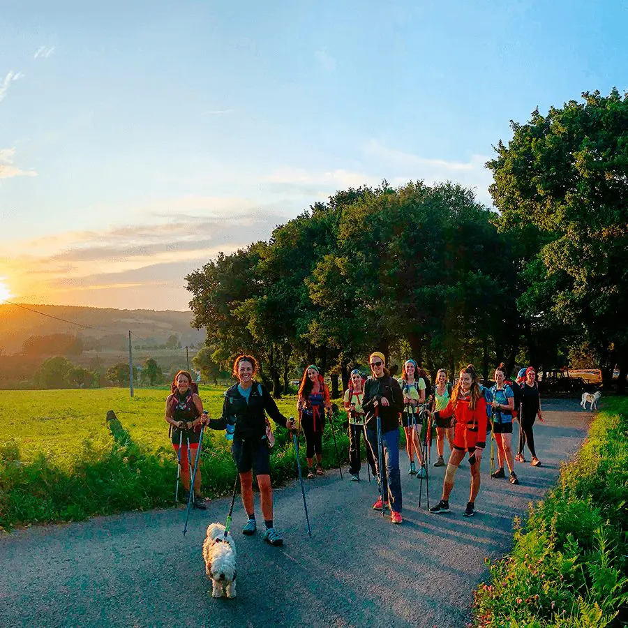 asfalto en Camino de Santiago
